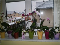 c7ac6b33-Picture 3766.jpg